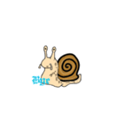 A lazy snail（個別スタンプ：19）