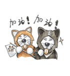 Akita dog Arnold and Akita dog chubby（個別スタンプ：4）