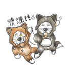 Akita dog Arnold and Akita dog chubby（個別スタンプ：9）