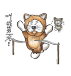 Akita dog Arnold and Akita dog chubby（個別スタンプ：12）