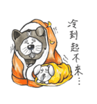 Akita dog Arnold and Akita dog chubby（個別スタンプ：16）