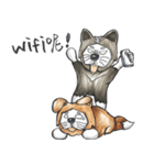 Akita dog Arnold and Akita dog chubby（個別スタンプ：20）