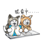 Akita dog Arnold and Akita dog chubby（個別スタンプ：24）