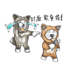 Akita dog Arnold and Akita dog chubby（個別スタンプ：27）