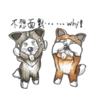 Akita dog Arnold and Akita dog chubby（個別スタンプ：29）