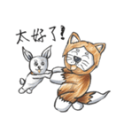 Akita dog Arnold and Akita dog chubby（個別スタンプ：31）