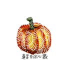 western pumpkin zentangle drawing（個別スタンプ：6）