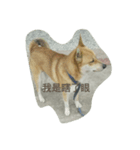 Dog's life language（個別スタンプ：9）