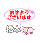 橋本「はしもと」さん専用。日常会話（個別スタンプ：1）