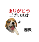 西沢さんが使う可愛い子犬の名前スタンプ（個別スタンプ：2）