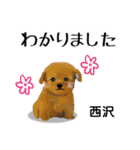 西沢さんが使う可愛い子犬の名前スタンプ（個別スタンプ：5）