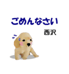 西沢さんが使う可愛い子犬の名前スタンプ（個別スタンプ：9）