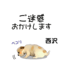 西沢さんが使う可愛い子犬の名前スタンプ（個別スタンプ：10）