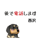 西沢さんが使う可愛い子犬の名前スタンプ（個別スタンプ：12）