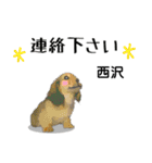 西沢さんが使う可愛い子犬の名前スタンプ（個別スタンプ：13）