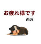西沢さんが使う可愛い子犬の名前スタンプ（個別スタンプ：14）