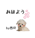 西沢さんが使う可愛い子犬の名前スタンプ（個別スタンプ：18）