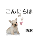 西沢さんが使う可愛い子犬の名前スタンプ（個別スタンプ：19）
