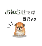 西沢さんが使う可愛い子犬の名前スタンプ（個別スタンプ：24）