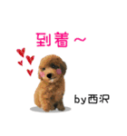 西沢さんが使う可愛い子犬の名前スタンプ（個別スタンプ：27）