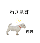 西沢さんが使う可愛い子犬の名前スタンプ（個別スタンプ：30）