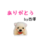 西澤さんが使う可愛い子犬の名前スタンプ（個別スタンプ：3）