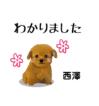 西澤さんが使う可愛い子犬の名前スタンプ（個別スタンプ：5）