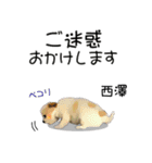 西澤さんが使う可愛い子犬の名前スタンプ（個別スタンプ：10）