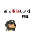 西澤さんが使う可愛い子犬の名前スタンプ（個別スタンプ：12）