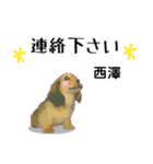 西澤さんが使う可愛い子犬の名前スタンプ（個別スタンプ：13）