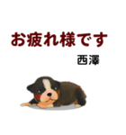 西澤さんが使う可愛い子犬の名前スタンプ（個別スタンプ：14）