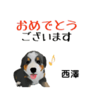 西澤さんが使う可愛い子犬の名前スタンプ（個別スタンプ：15）