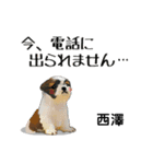 西澤さんが使う可愛い子犬の名前スタンプ（個別スタンプ：25）