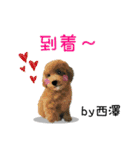 西澤さんが使う可愛い子犬の名前スタンプ（個別スタンプ：27）