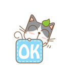 tea cat - daily 2（個別スタンプ：1）