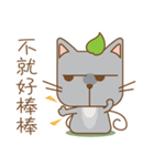 tea cat - daily 2（個別スタンプ：5）