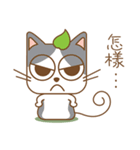 tea cat - daily 2（個別スタンプ：6）