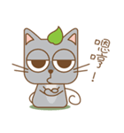 tea cat - daily 2（個別スタンプ：7）