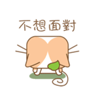 tea cat - daily 2（個別スタンプ：13）