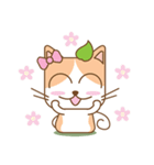 tea cat - daily 2（個別スタンプ：14）