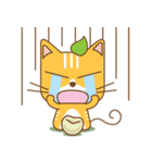 tea cat - daily 2（個別スタンプ：16）