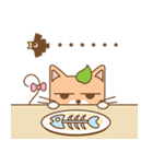 tea cat - daily 2（個別スタンプ：18）