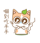 tea cat - daily 2（個別スタンプ：21）