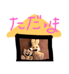 うさちゃんとお花ちゃんのクッキースタンプ（個別スタンプ：24）