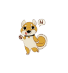 Shiba sticker part 1（個別スタンプ：1）