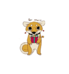 Shiba sticker part 1（個別スタンプ：2）