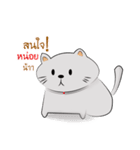 cat cute fat（個別スタンプ：1）