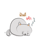 cat cute fat（個別スタンプ：2）