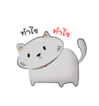 cat cute fat（個別スタンプ：17）