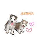 Husky Family by SlowLuff（個別スタンプ：7）